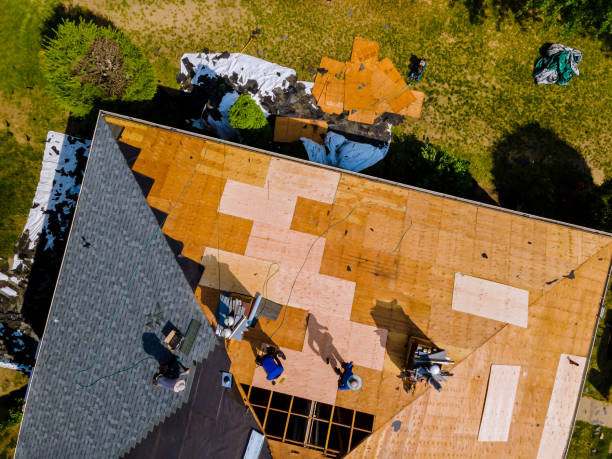 Best Gutter Installation and Roofing  in Rincon, GA